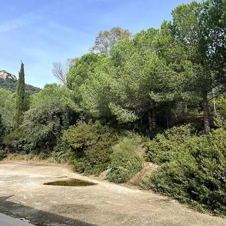 L'olive, Elegant Studio En Pleine Nature Apartment Hyeres